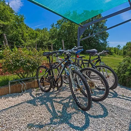 Paliska In Ripenda Kras Villa Labin (Istria)