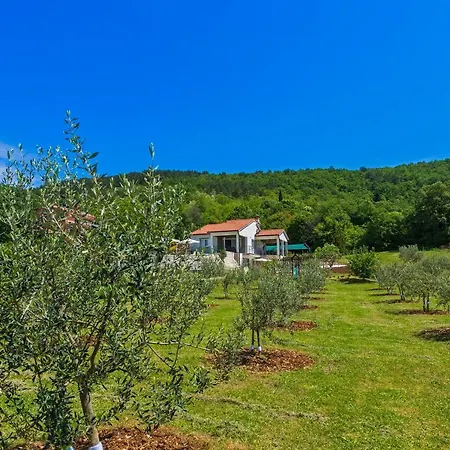 Villa Paliska In Ripenda Kras Labin (Istria)